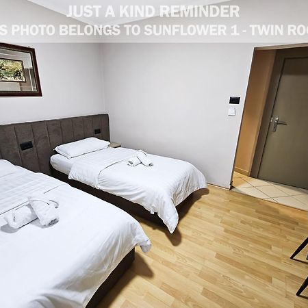 Sunflower Rooms ติรานา ภายนอก รูปภาพ